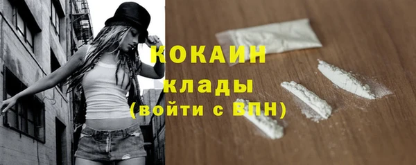 сатива Армянск