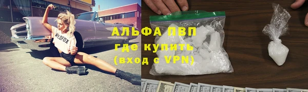 сатива Армянск