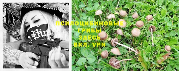 кристаллы Арсеньев